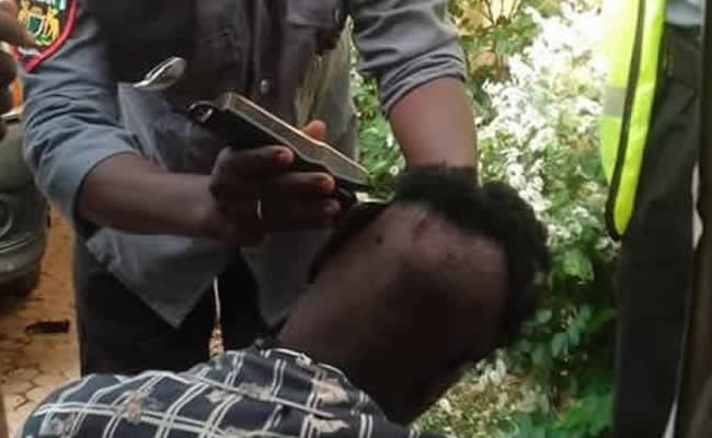 IMMORAL HAIRCUTS