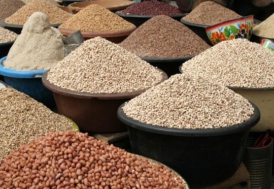 GRAINS