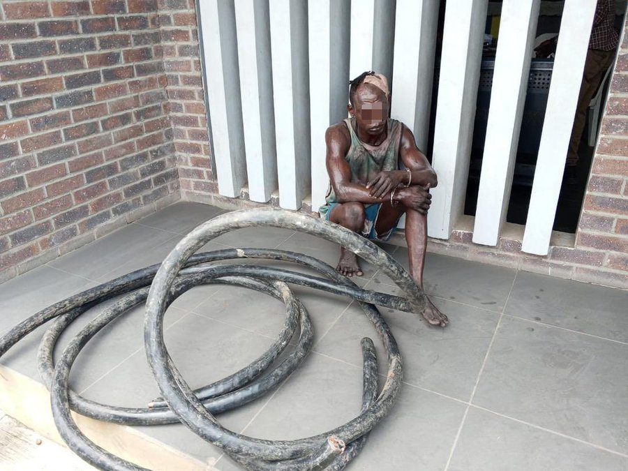CABLE VANDAL