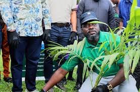 TREE PLANTING