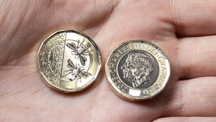 KING CHARLES COINS