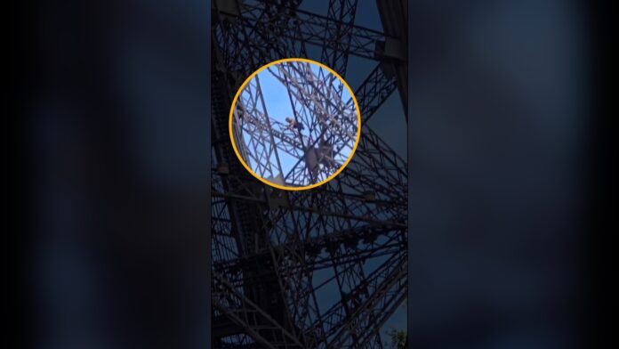 MAN ON EIFFEL TOWER