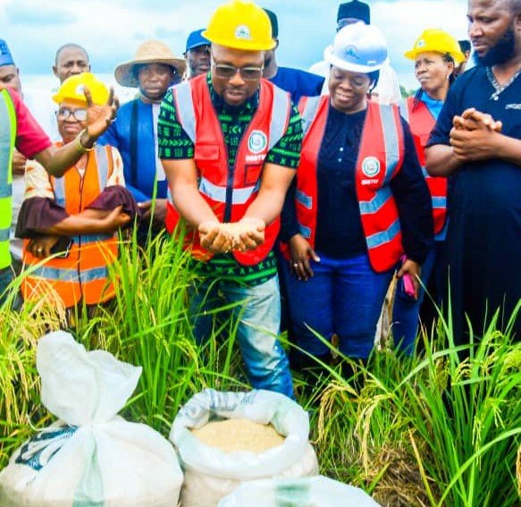 OGUN FARMERS