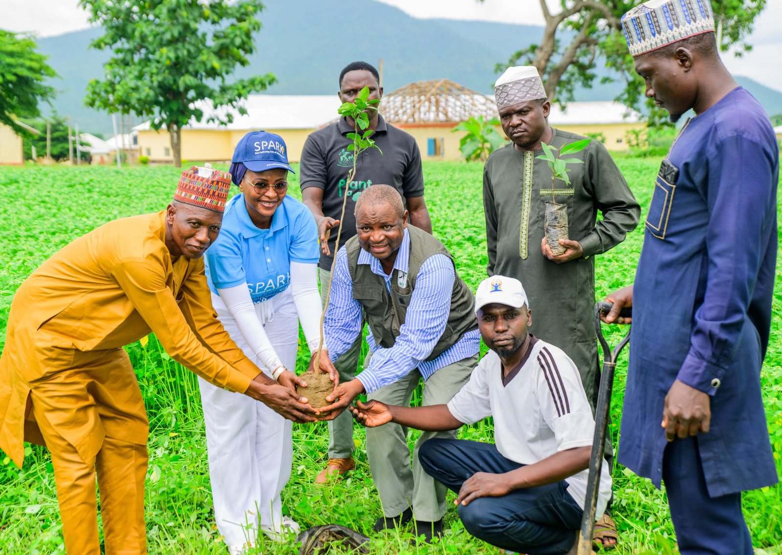TREE PLANTING