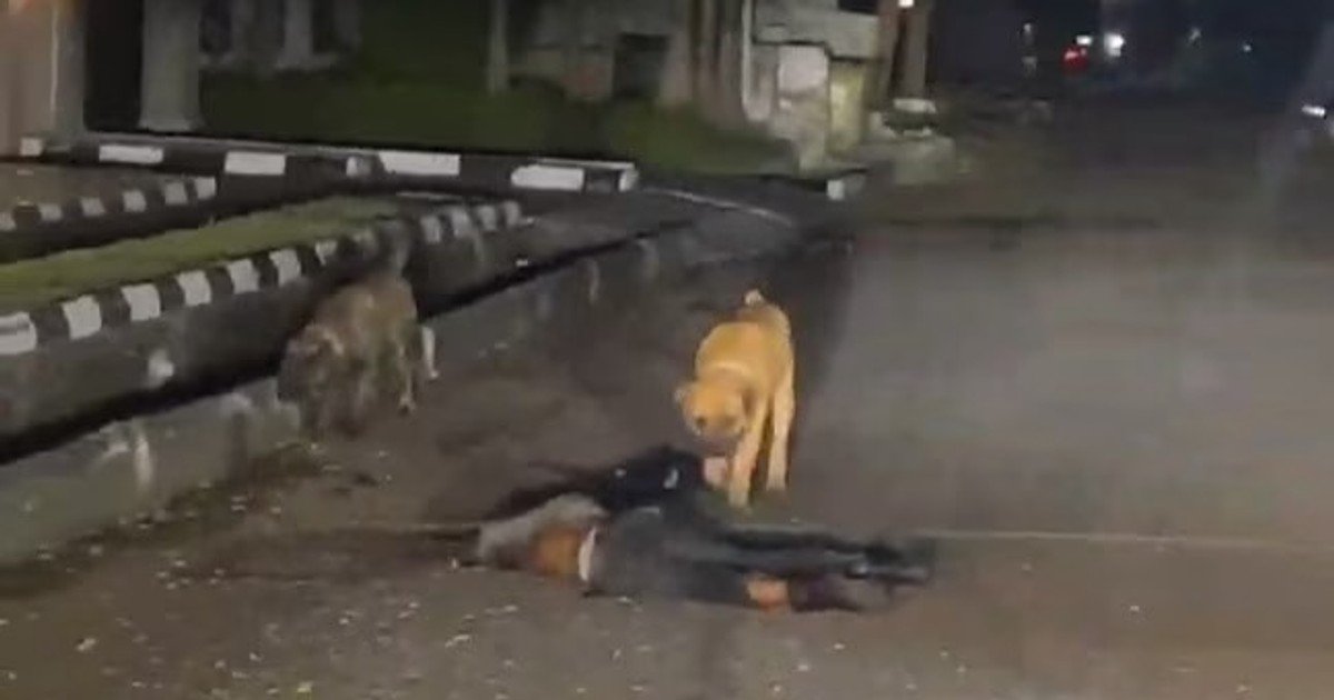 GUARD KILLED