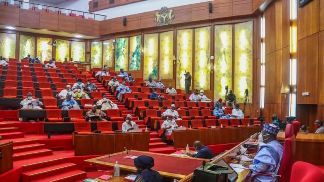 NORTHERN SENATORS