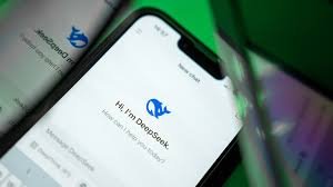 DEEPSEEK