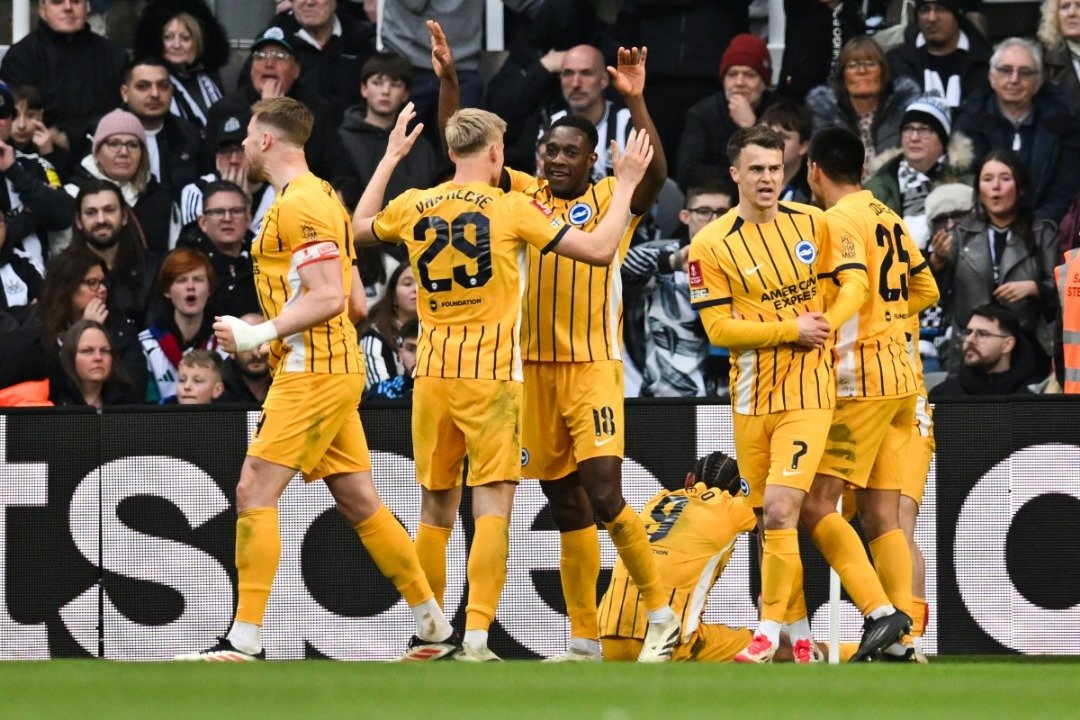 BRIGHTON BEAT