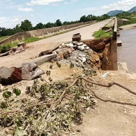 TARABA BRIDGE