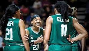 D'TIGRESS