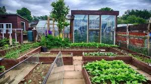 GREENHOUSE FARMING