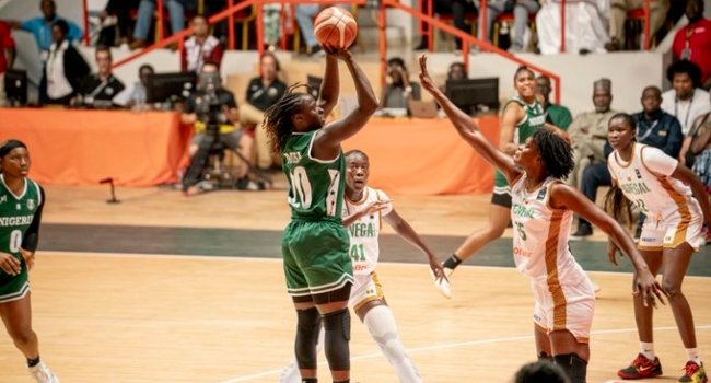 D'TIGRESS