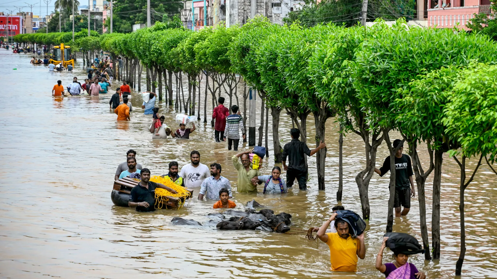 INDIAN FLOOD