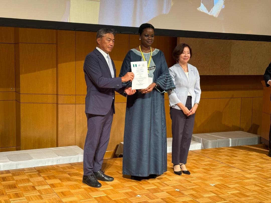 NAIJA JAPAN CITY