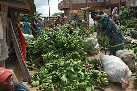 BANANA SELLERS