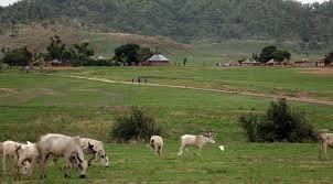GRAZING RESERVES