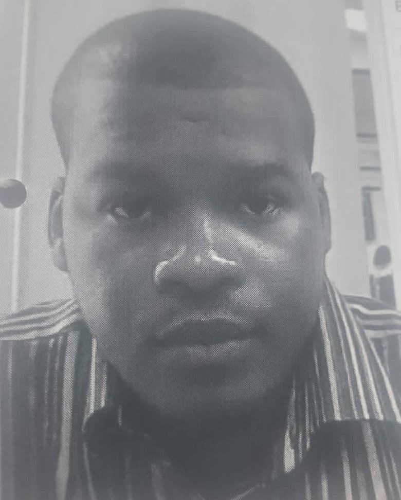 THE FRAUDSTER