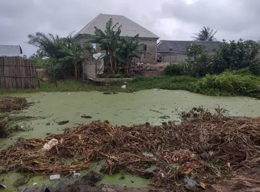 POND