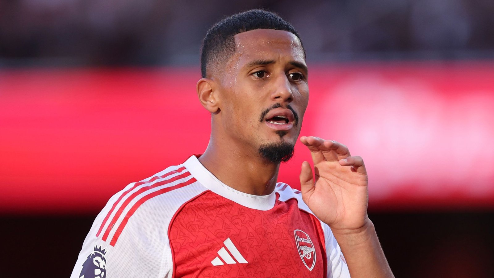 SALIBA