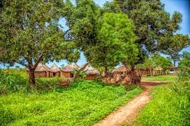 FARM SETTLEMENT