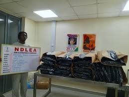 NDLEA