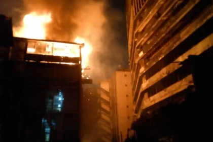 FIRE GUTS