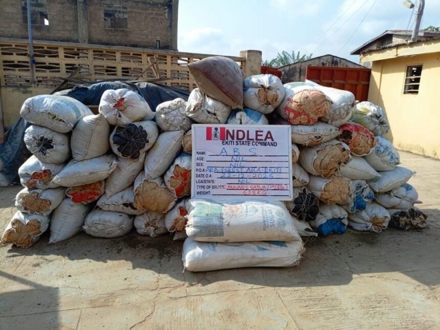 NDLEA ARREST