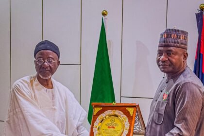 MUSA HONOURS