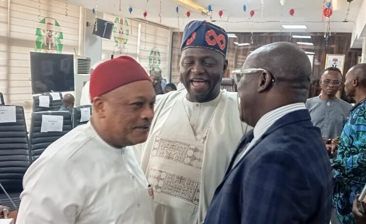 WIKE PDP