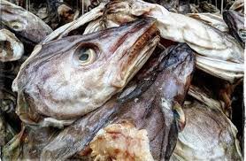 STOCK FISH