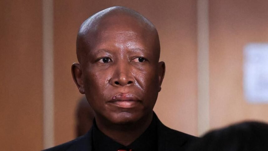 MALEMA