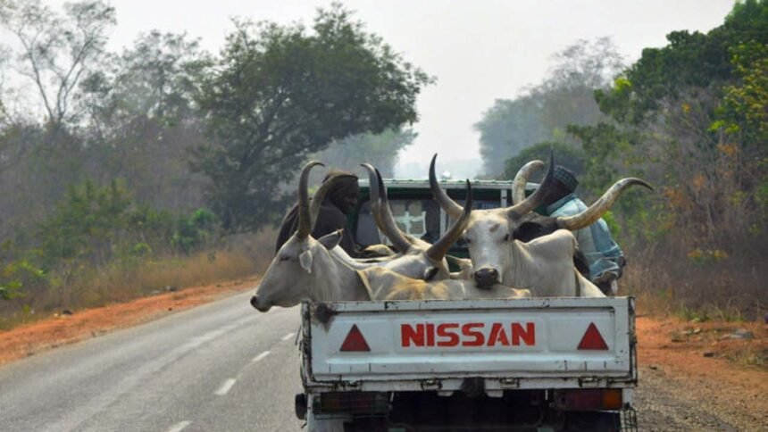 TRUCK WITH ANIMAL