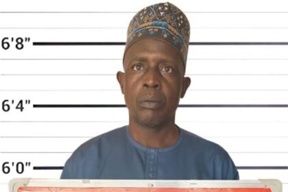 MAGISTRATE