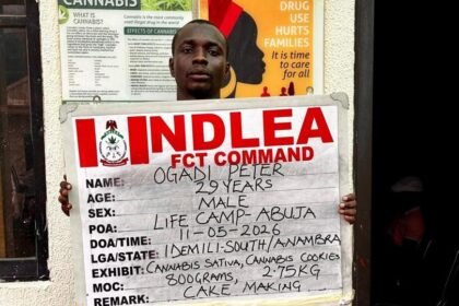 NDLEA