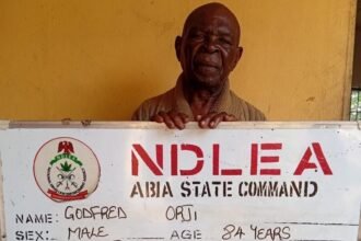 NDLEA
