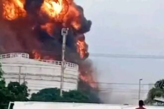 FIRE GUTS