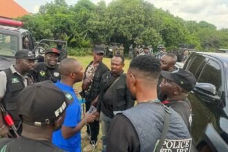 KOGI RESCUES