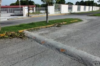 SPEED BUMPS