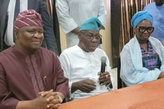 YAYI OBJ