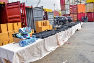 CUSTOMS SEIZE ARMS