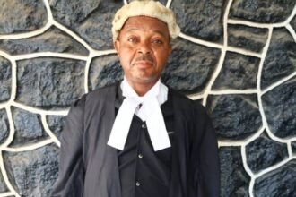 FAKE LAWYER