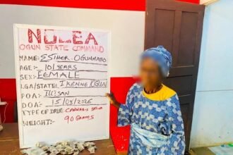 NDLEA