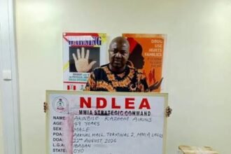 NDLEA