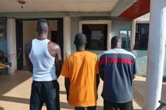 NSCDC