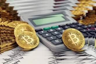 VERTUAL ASSETS