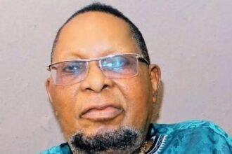 BABA ALADO