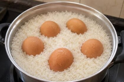 EGGS IN RICE