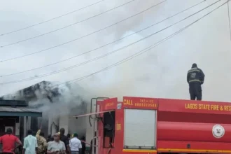 FIRE GUTS