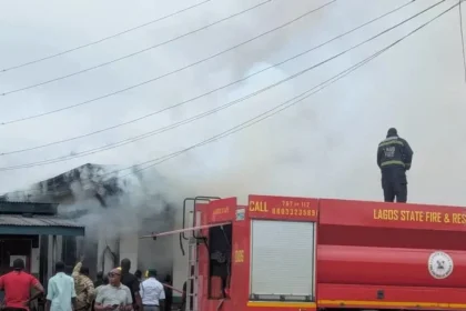 FIRE GUTS