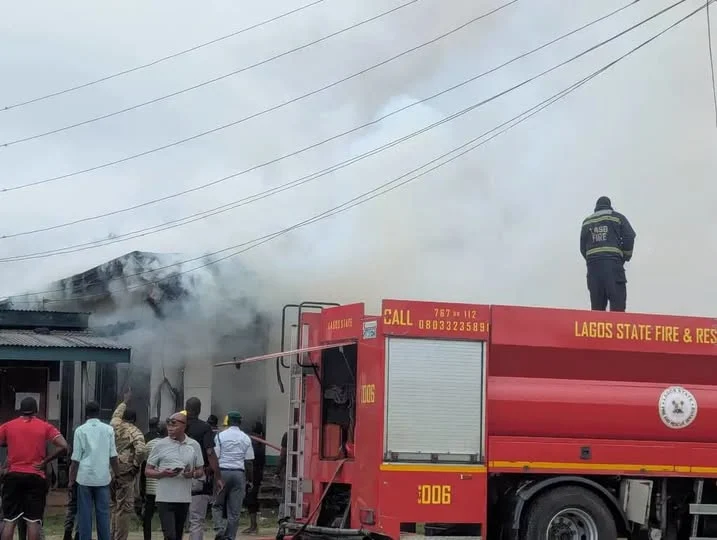 FIRE GUTS
